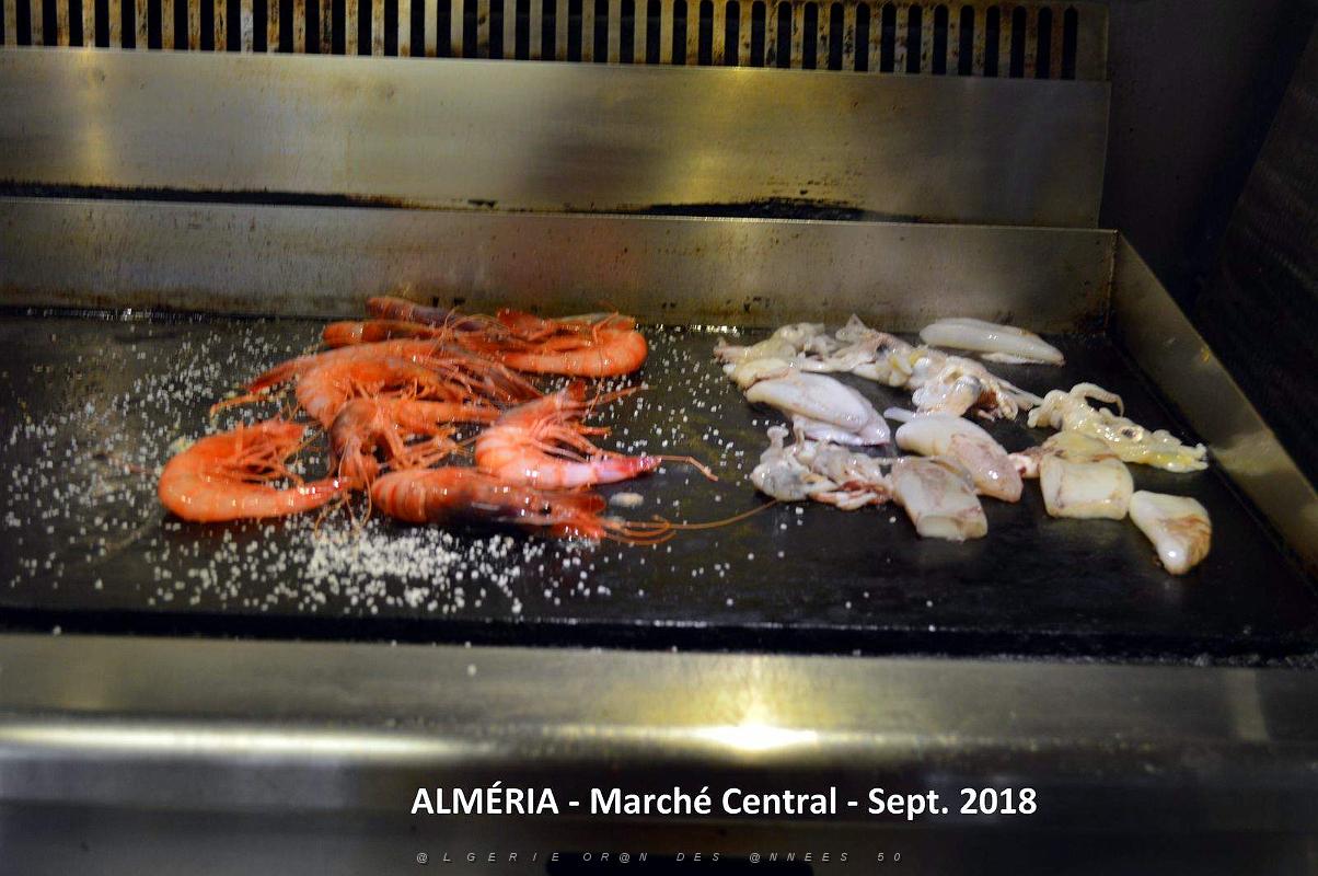 02 ALMERIA LE MARCHE (13).JPG